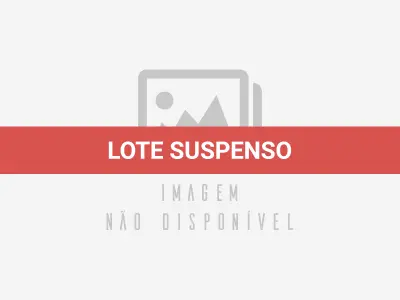 Touro da raça holandesa