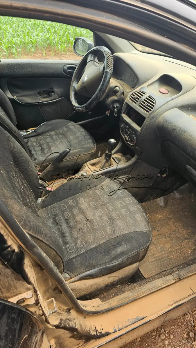LOTE 000 - 1 (Um) veículo PEUGEOT/206 16 PRESENC, placa DKN9A36.